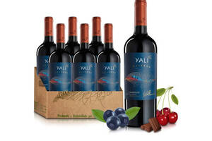 智利冰川集团雅立YALI云雀佳美娜干红葡萄酒750ml6瓶整箱价格多少钱？