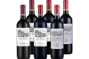 智利拉菲罗斯柴尔德巴斯克花园珍藏+理德红+赤霞珠珍藏葡萄酒750ml6瓶整箱价格多少钱？