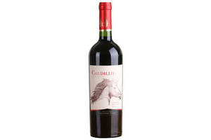 智利雷司加查普山谷产区赤霞珠干红葡萄酒50ml红酒单瓶一瓶价格多少钱？