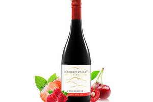 新西兰马尔堡产区香岱谷酒庄BOUQUETVALLEY2019黑皮诺干红葡萄酒750ml一瓶价格多少钱？