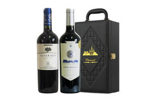 阿根廷安第斯之箭马尔贝克干红葡萄酒2瓶礼盒装价格多少钱？