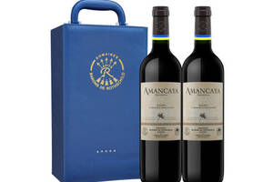 阿根廷门多萨产区拉菲罗斯柴尔德安第斯干红葡萄酒2瓶礼盒装价格多少钱？