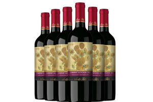 智利SantaRita圣丽塔酒庄国家画廊赤霞珠典藏干红葡萄酒750ml6瓶整箱价格多少钱？