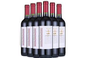 智利中央山谷LISSOMVIEILLESVIGNES百年份藤品种级梅洛干红葡萄酒750ml6瓶整箱价格多少钱？