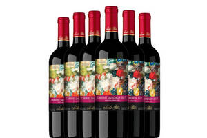 智利SantaRita圣丽塔酒庄国家画廊赤霞珠珍藏干红葡萄酒750ml6瓶整箱价格多少钱？