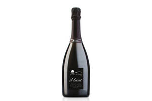 意大利Brut布鲁特樱桃丘陵红色气泡葡萄酒750ml一瓶价格多少钱？