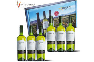 智利冰川集团寇庐山脉庄园珍藏苏维翁干白葡萄酒750ml6瓶整箱价格多少钱？