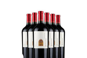 智利哈雷路亚ALELUYA卡门妮雅佳美娜红葡萄酒1.5L6瓶整箱价格多少钱？