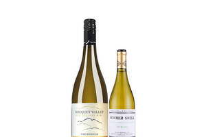 新西兰马尔堡产区香岱谷酒庄BOUQUETVALLEY02019长相思干白葡萄酒750ml一瓶价格多少钱？