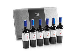 智利火烈鸟梅洛美乐干红葡萄酒750ml一瓶价格多少钱？