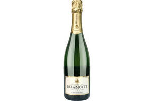 法国香槟产区德乐梦Delamotte白中白香槟起泡葡萄酒750ml一瓶价格多少钱？