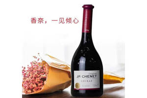 法国香奈J.P.CHENET歪脖子西拉干红葡萄酒750ml一瓶价格多少钱？