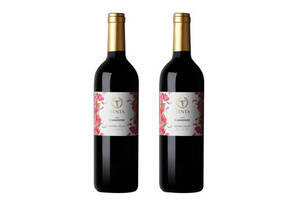 智利天帕卡曼尼干红葡萄酒750mlx2瓶礼盒装价格多少钱？