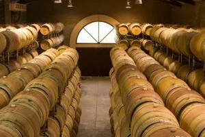 葡萄酒中的橡木味都是橡木桶陈酿的吗？葡萄酒在橡木桶陈酿的研究