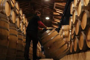 橡木桶中葡萄酒的秘密，橡木桶陈酿不是优秀葡萄酒必须经历的过程