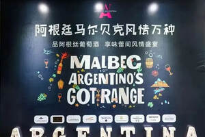 马尔贝克奏响中国，品味阿根廷的风情万种