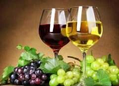 葡萄酒中的“静”文化