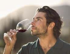 什么样的葡萄酒才是需要陈年呢？