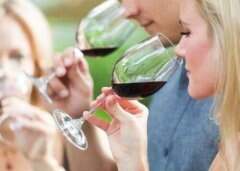 葡萄酒的酒精度一般是多少呢？（葡萄酒的最高酒精度是多少）