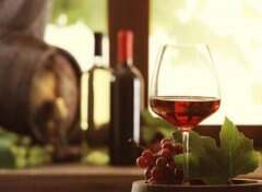 酿葡萄酒的关键是什么？（酿葡萄酒的真菌是什么）