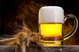 喝了白酒喝啤很容易醉-喝啤酒容易醉还是喝白酒容易醉