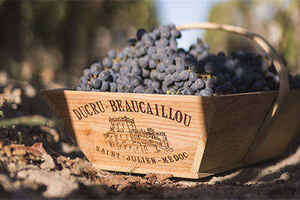 风土条件对酿酒葡萄品质的影响「土壤越肥沃酿出的葡萄酒越难喝」
