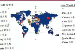 世界各国葡萄酒特点（涨姿势速记各种葡萄酒的特点）