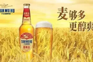 中国啤酒品牌有哪些