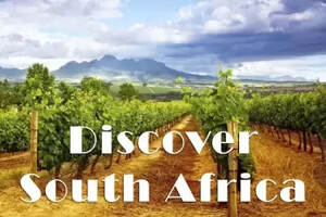 南非葡萄酒庄等级大全