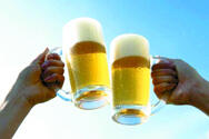 饮用啤酒过量容易引发脂肪肝