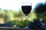 葡萄酒的“长度”你会测量吗?