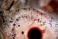 葡萄酒中“黑渣”到底是何方神圣?