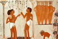 古埃及葡萄酒历史（古埃及葡萄酒壁画）