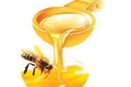 蜂蜜酒标准
