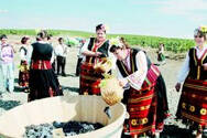 保加利亚葡萄酒文化（保加利亚葡萄酒品牌）