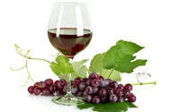 葡萄酒中含微量二氧化硫