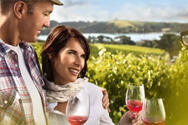 新西兰葡萄酒的特点