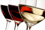 葡萄酒酿造发酵中大约多少糖能转化成1度酒精的葡萄酒