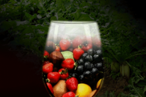 能解酒的水果有哪些？解酒效果好的水果