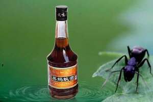黑蚂蚁酒有什么好处