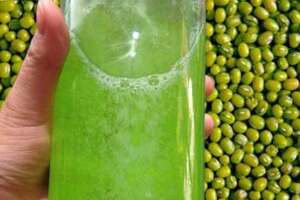 深入为您分析绿豆酒的制作方法与营养价值