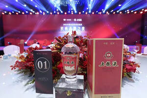 五粮液亮相中国企业家博鳌论坛传承千年的民族品牌香醉世界