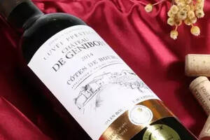 法国尊妮特特干红葡萄酒价格