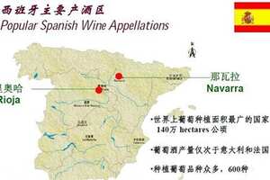 西班牙葡萄酒历史悠久的岁月痕迹