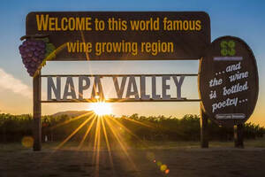 纳帕谷最贵的葡萄酒酒TOP10，作品一号榜上无名