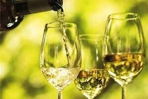 科普|深度探讨白葡萄酒文化