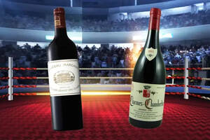 如果有人问你，波尔多红酒与勃艮第红酒的区别？