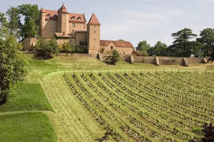 法国西南产区葡萄酒
