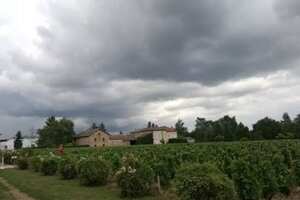 法国葡萄酒的产区介绍