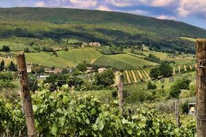 意大利葡萄酒特点、品种指南（意大利葡萄酒产区及葡萄品种）